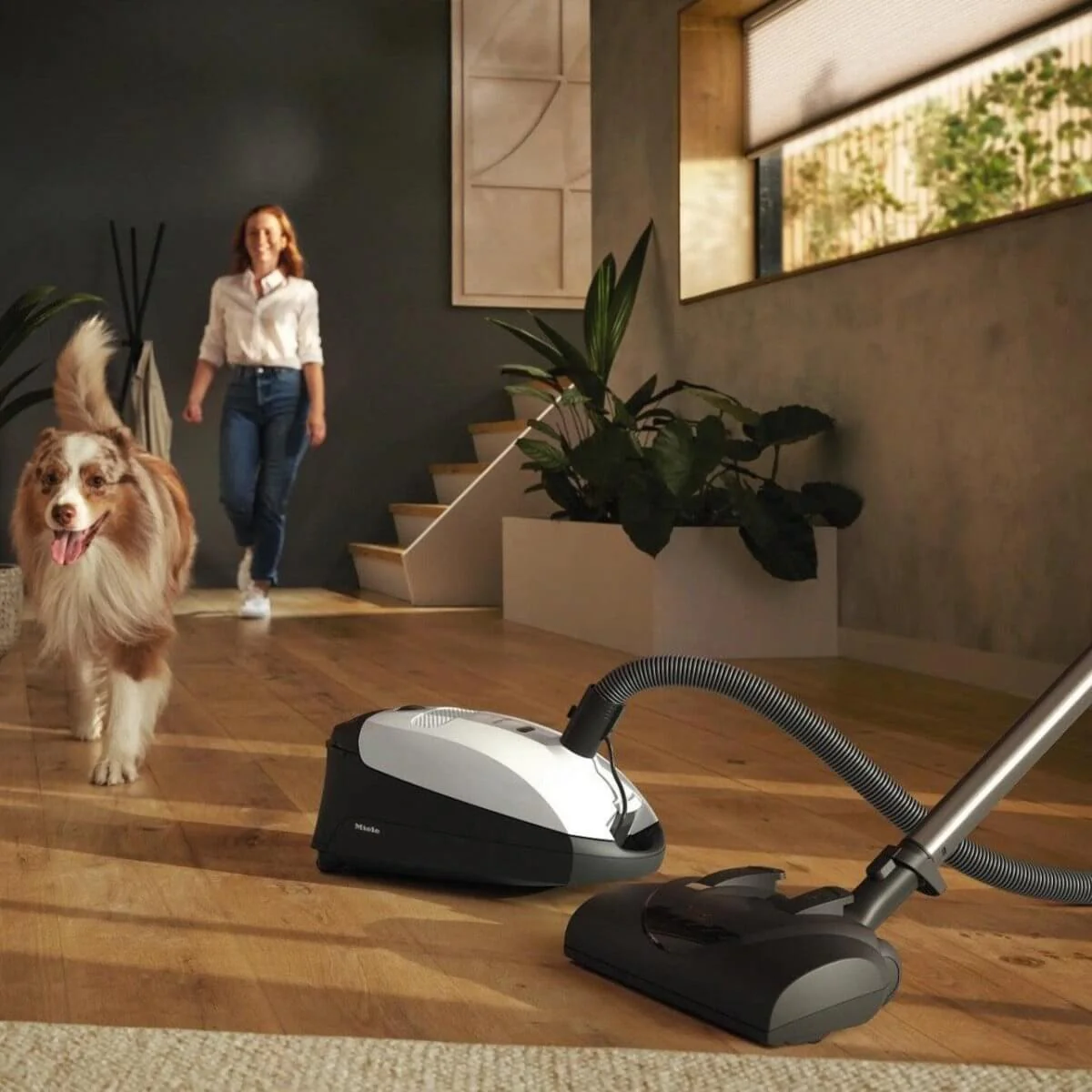 Miele Classic C1 Cat & Dog - Canister Vacuum - Image 10