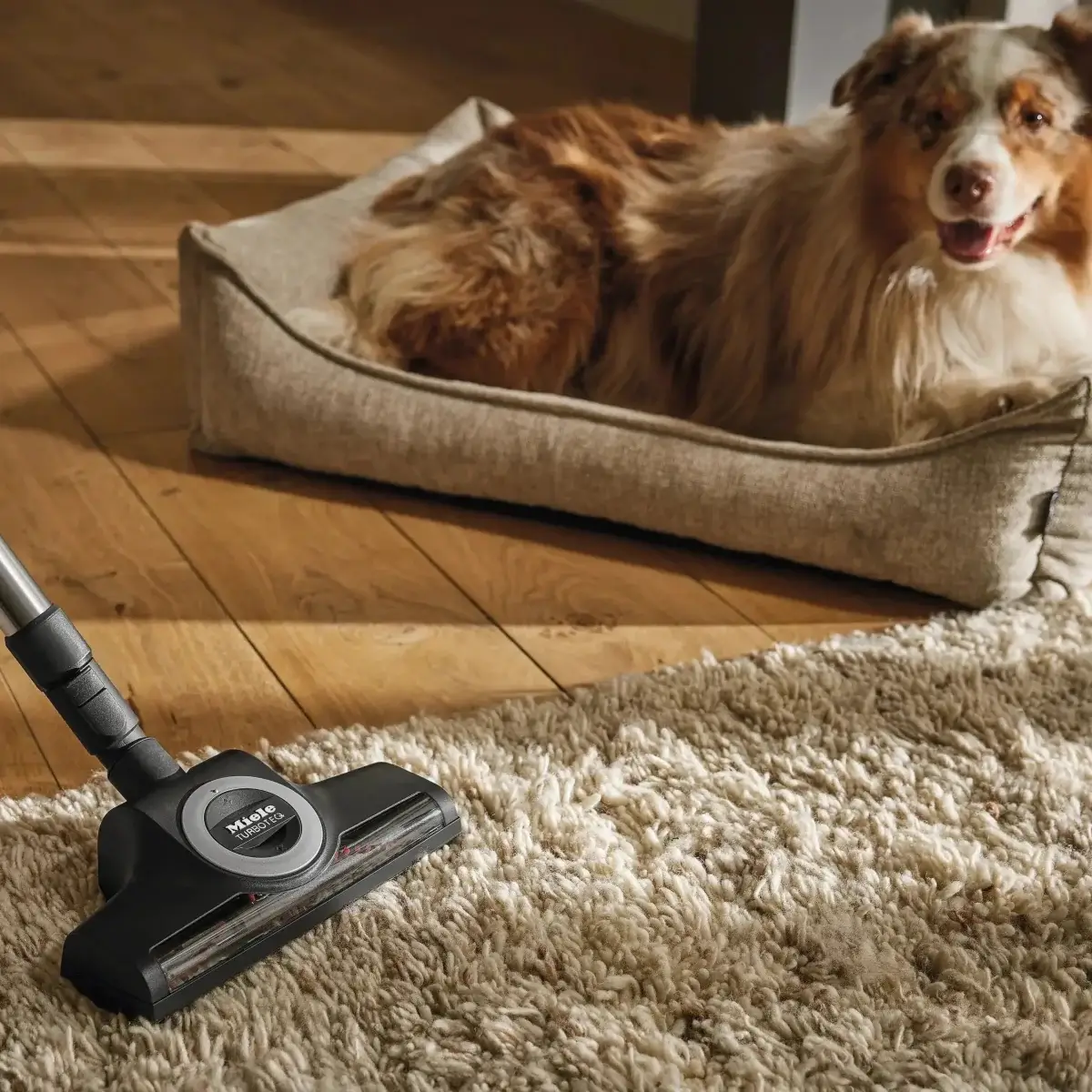 Miele STB 305-3 Turbo Brush - Image 3