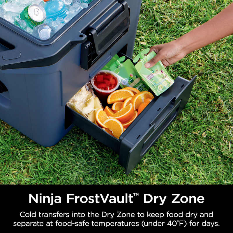 Ninja FrostVault™ 30qt Hard Cooler with Cold Dry Zone, Lakeshore Blue - Image 4