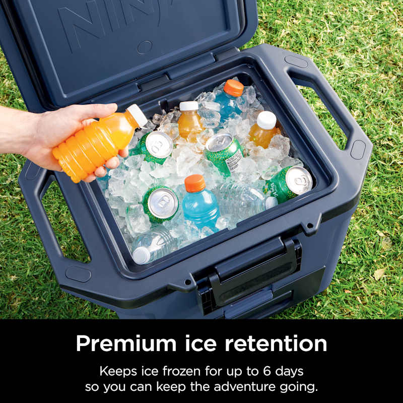 Ninja FrostVault™ 30qt Hard Cooler with Cold Dry Zone, Lakeshore Blue - Image 6
