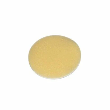 Riccar Secondary Filter for Gem Handheld