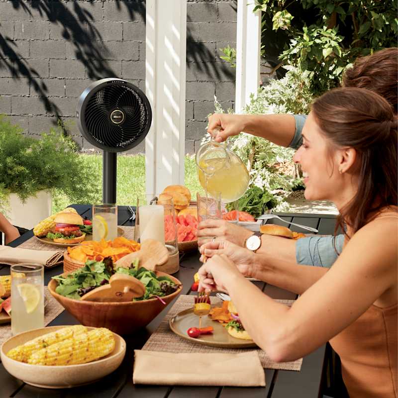 Shark FlexBreeze Fan With InstaCool Misting Attachment - Image 4