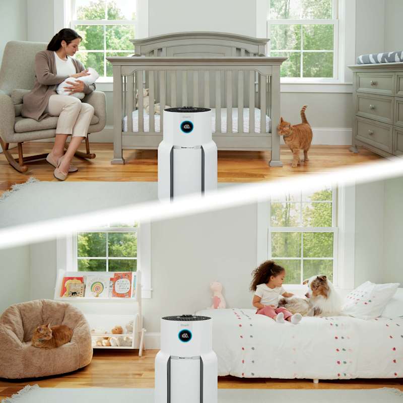 Shark NeverChange Air Purifier MAX - Image 8