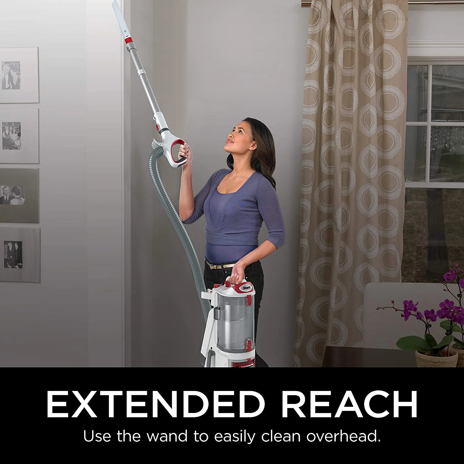 Shark Rotator Professional Lift-Away Upright Vacuum - Image 4