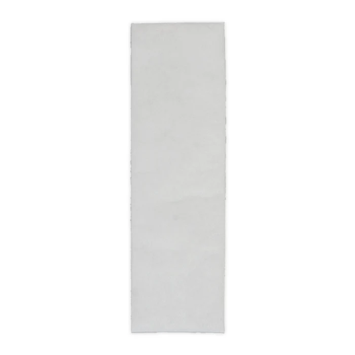 Riccar Vibrance Standard and Deluxe Electrostatic Filters